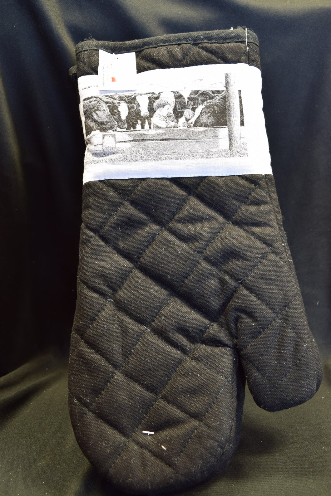 Chore Boy - Oven Mitts (pair)